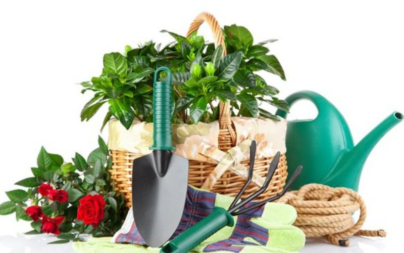 kinh doanh Alibaba ngành hàng dụng cụ làm vườn